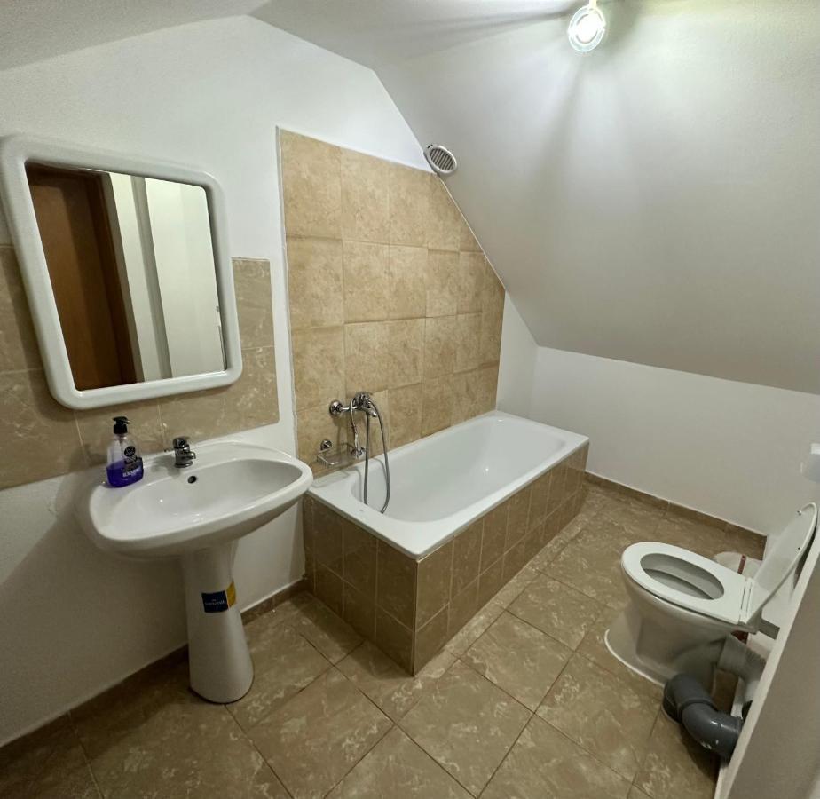 Georgiana Apartments 2 Timişoara Extérieur photo