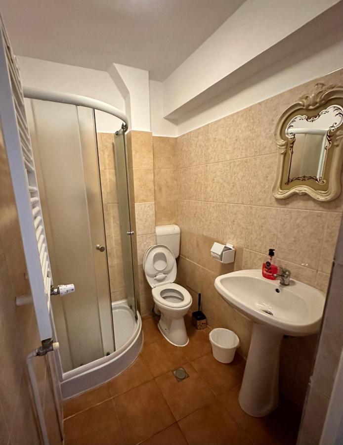 Georgiana Apartments 2 Timişoara Extérieur photo