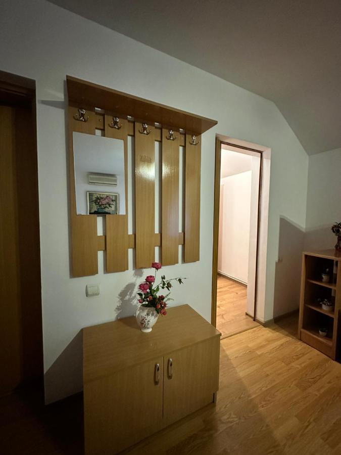 Georgiana Apartments 2 Timişoara Extérieur photo