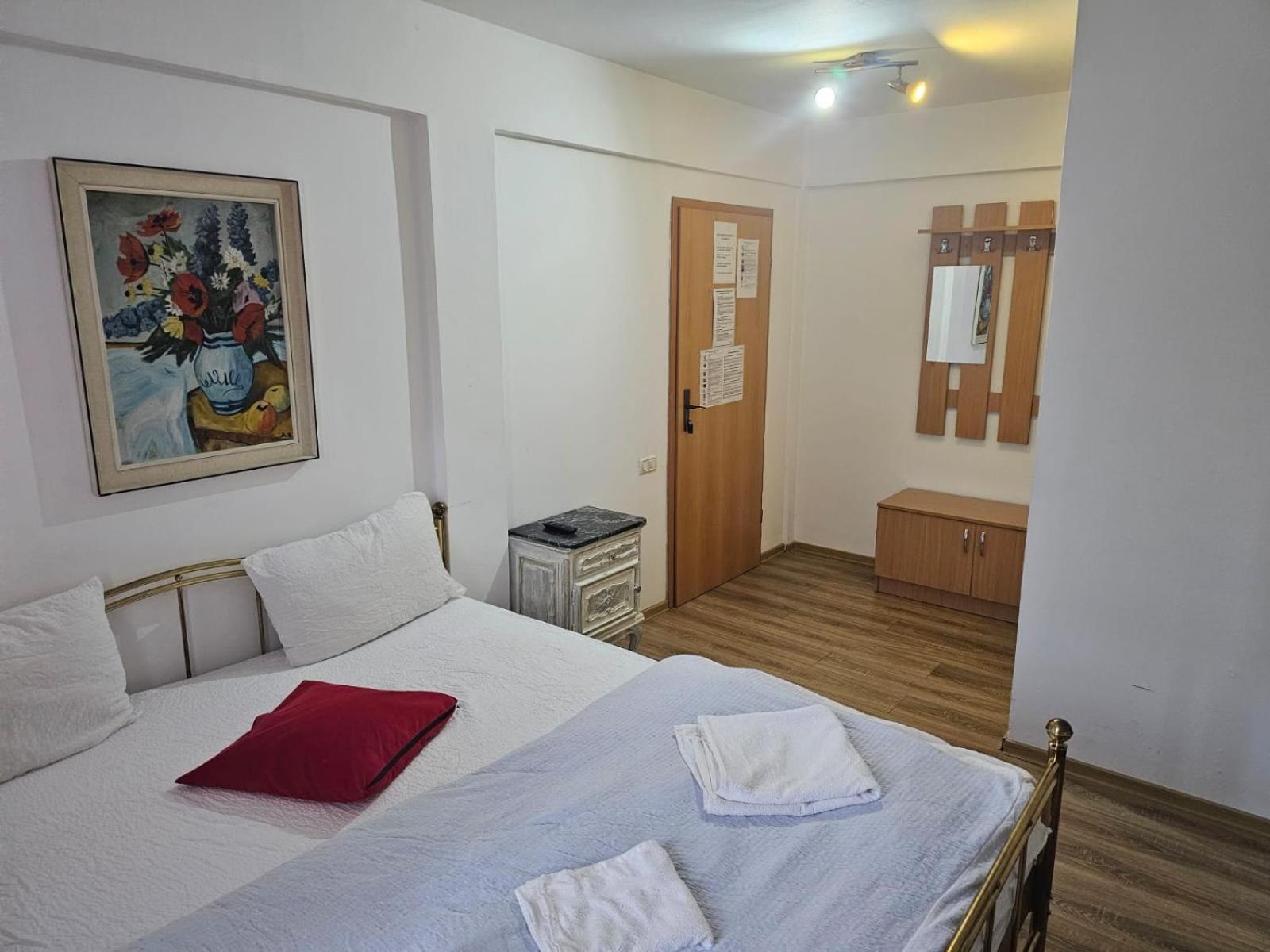 Georgiana Apartments 2 Timişoara Extérieur photo